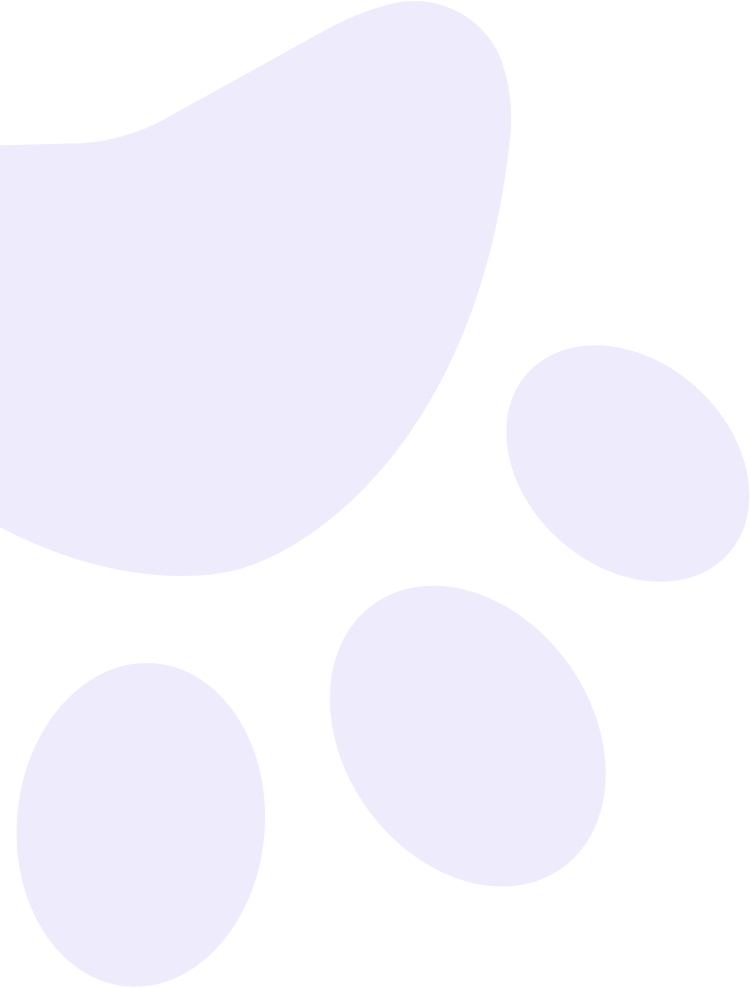 Dog paw image