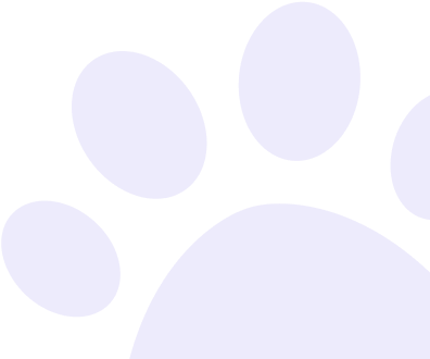 Dog paw image